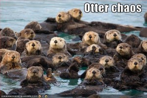 otter chaos